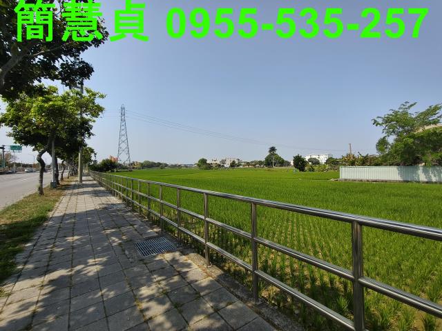 大里農地-4