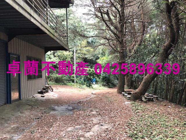 卓蘭林地-4