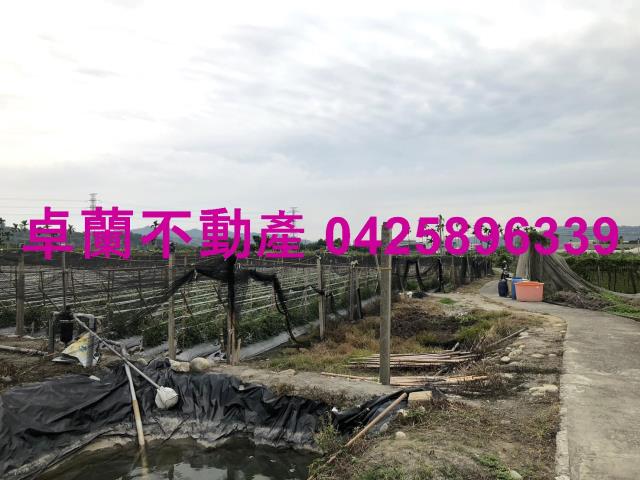 苗栗農地-3