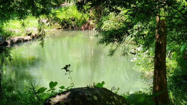 新竹農地-12