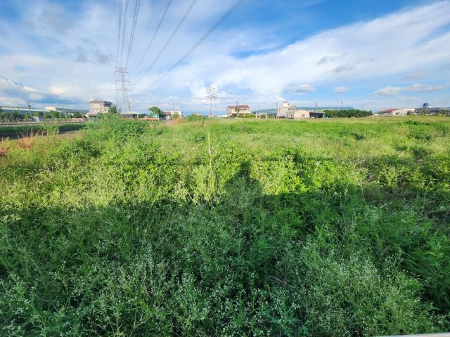 高雄阿蓮農地-6