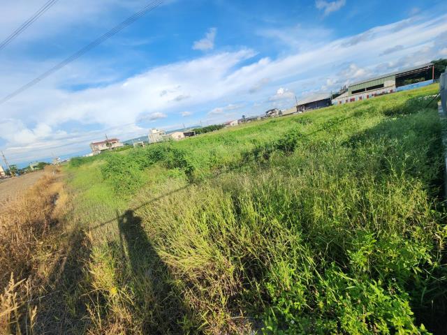 高雄阿蓮農地-4