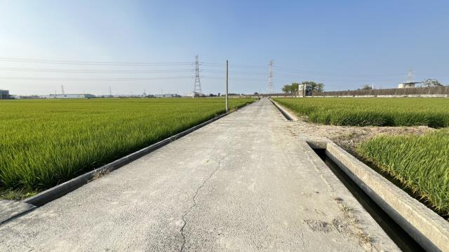 高雄路竹農地-7