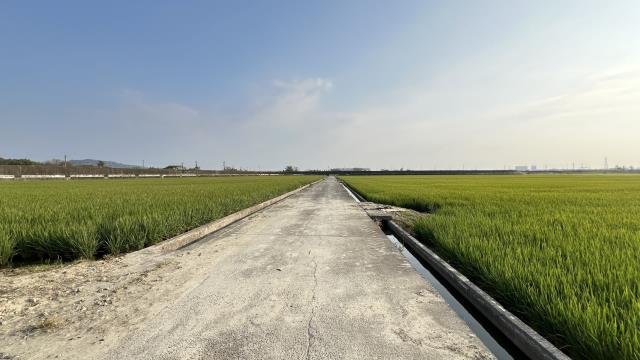 高雄路竹農地-6