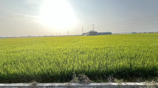 高雄路竹農地-3