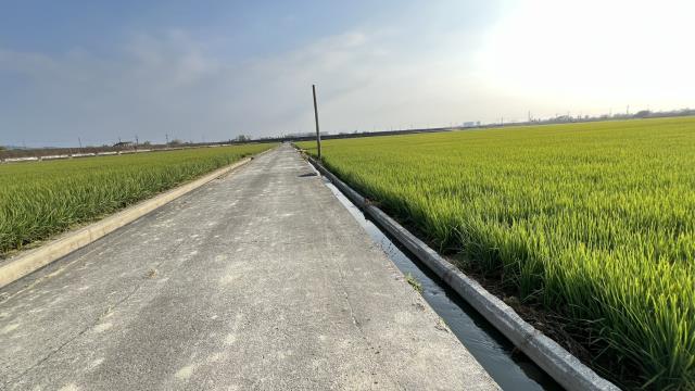 高雄路竹農地-14