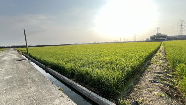 高雄路竹農地-12