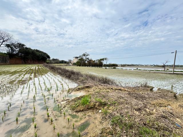 大坡國中旁方正農地