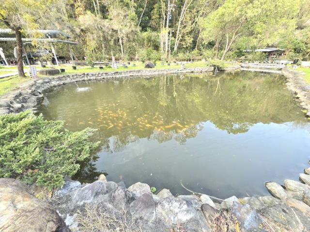 南投中寮山坡地-6