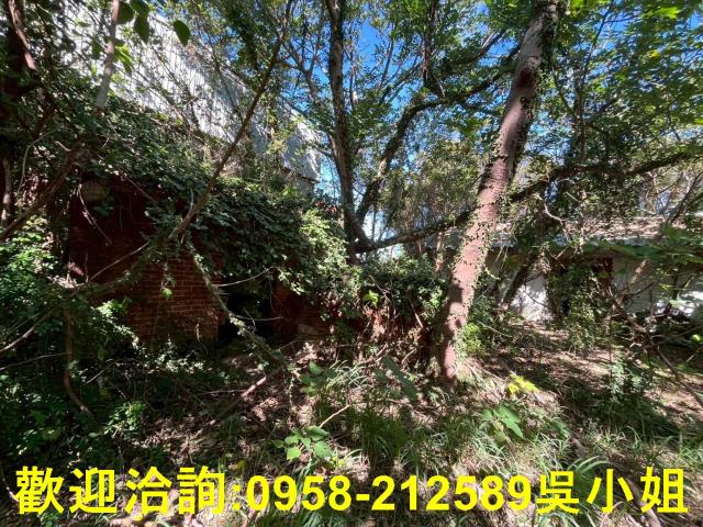 新竹竹北建地-5