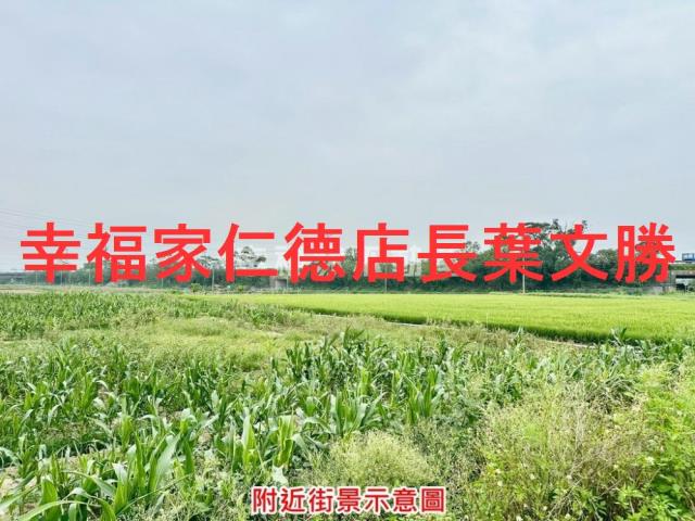 台南善化農地-13