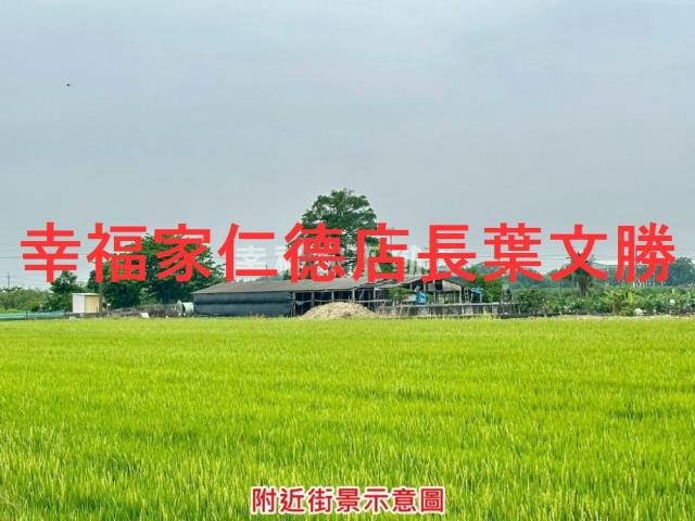 台南善化農地-6