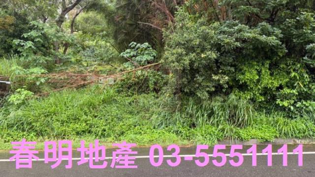 新竹芎林農地-0