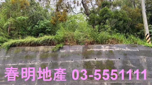 新竹芎林農地-6