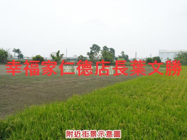 下營農地-9