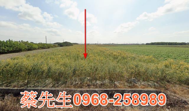 大埤興安農保地可蓋資材室可做農保