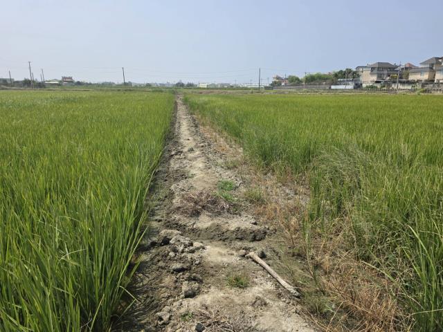 岡山農地-7