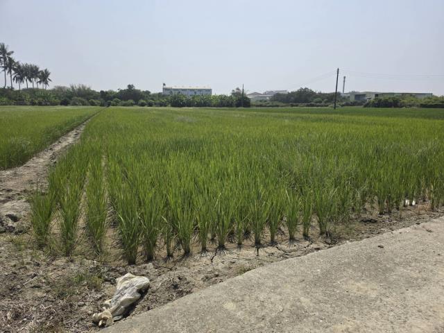 岡山農地-10