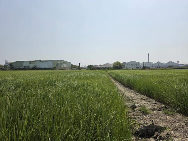 岡山農地-3
