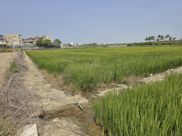 岡山農地-6