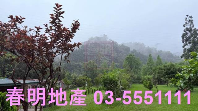 北埔農地-13