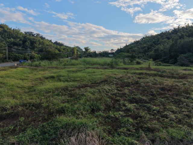 內門農地-9