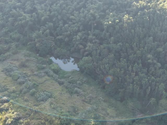 內門農地-8