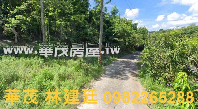 玉井農地拍賣-1