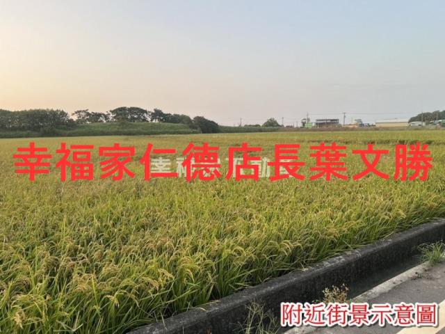 台南農地-10