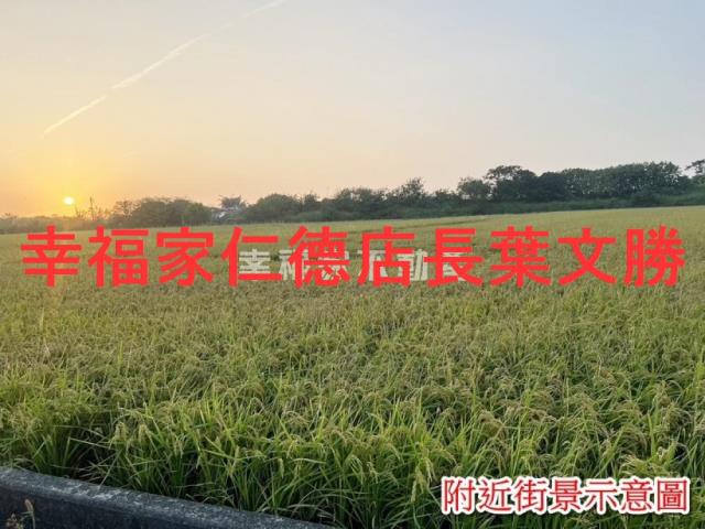 台南農地-4