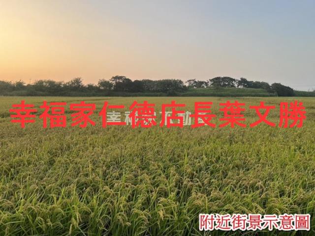 台南農地-7