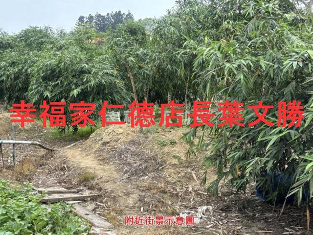 台南農地-9