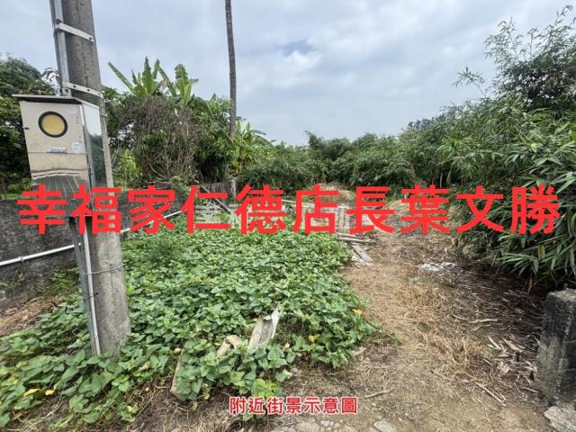 台南農地-4