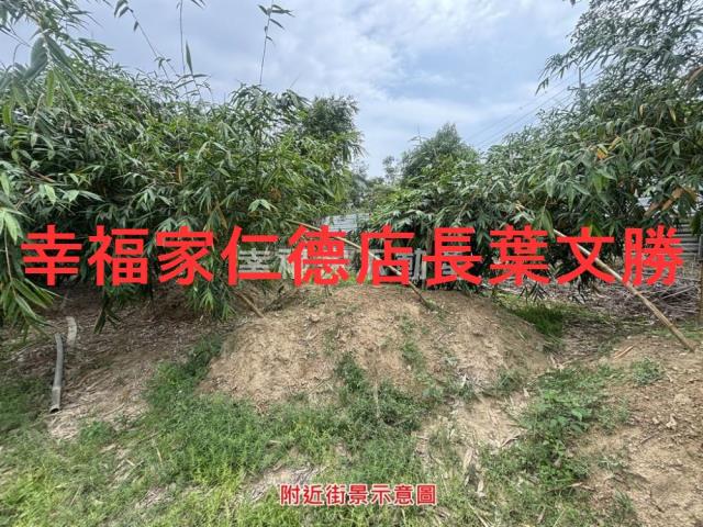 台南農地-5