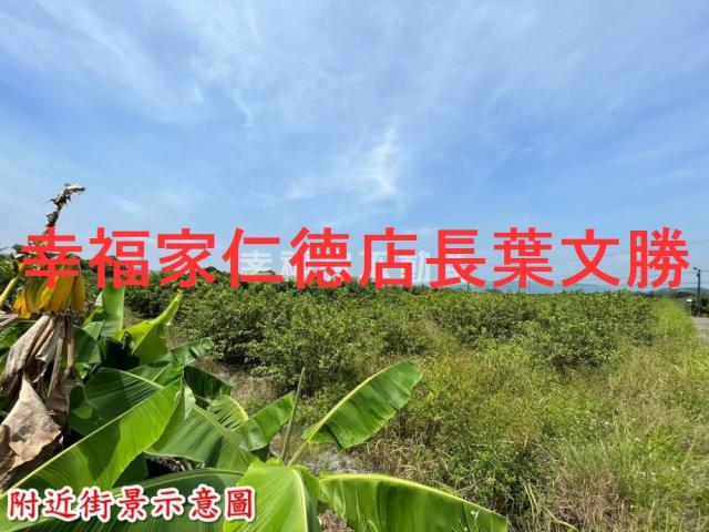 台南玉井農地-12