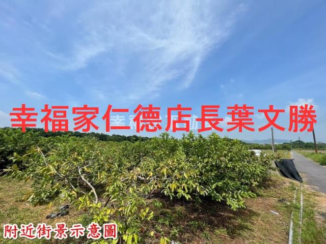 台南玉井農地-4
