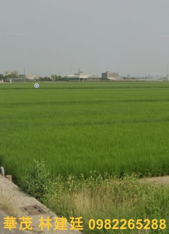 溪口法拍溪口農地溪口土地