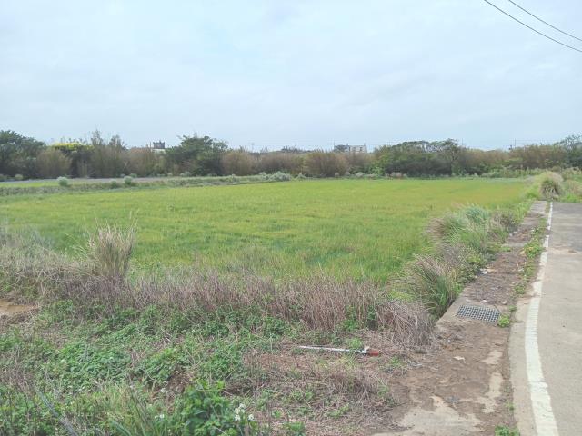 桃園觀音農地-0