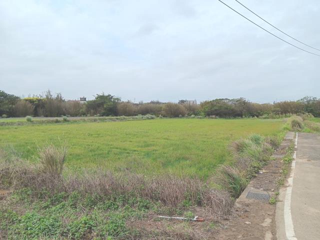 桃園觀音農地-1