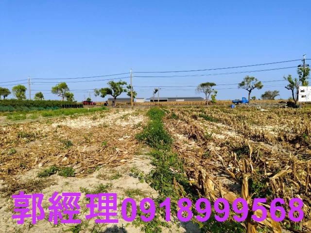 台南佳里農地-9