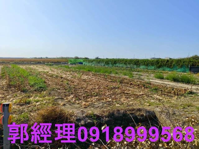 台南佳里農地-13
