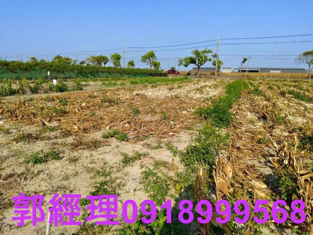 台南佳里農地-7