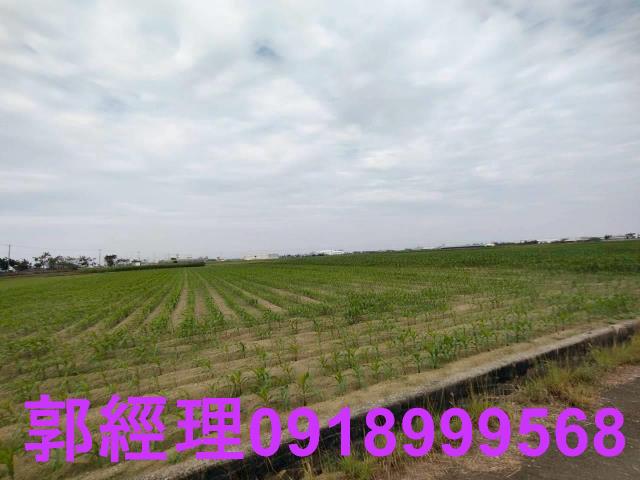 台南鹽水農地-0
