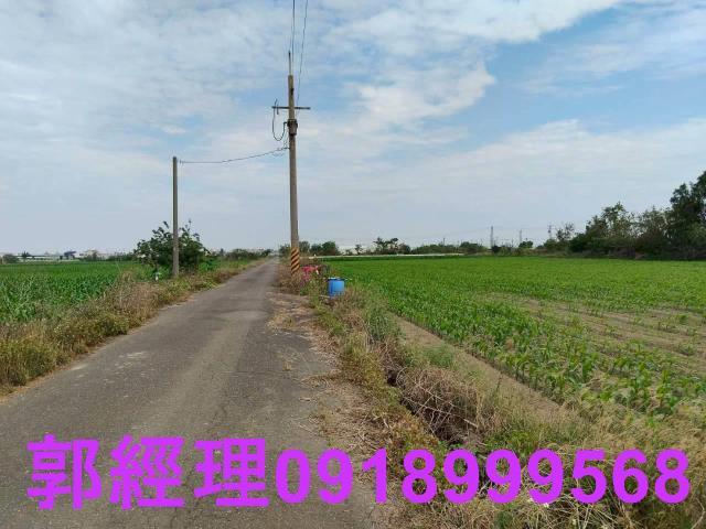 台南鹽水農地-5