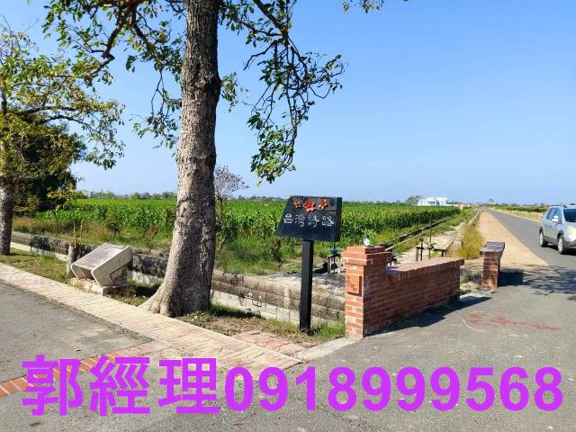 台南鹽水農地-9