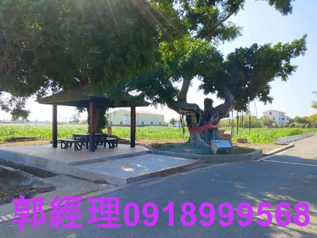 台南鹽水農地-12