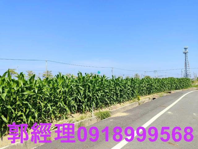 台南鹽水農地-0