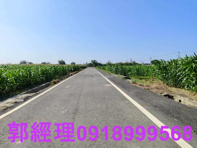 台南鹽水農地-3