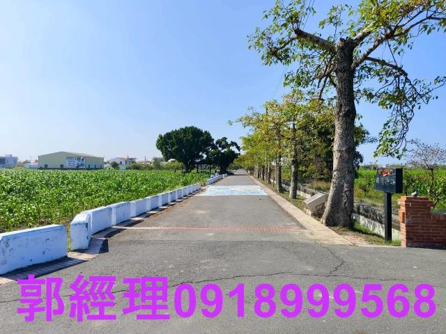 台南鹽水農地-8