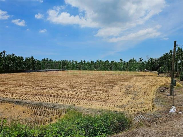 屏東新埤農地-2